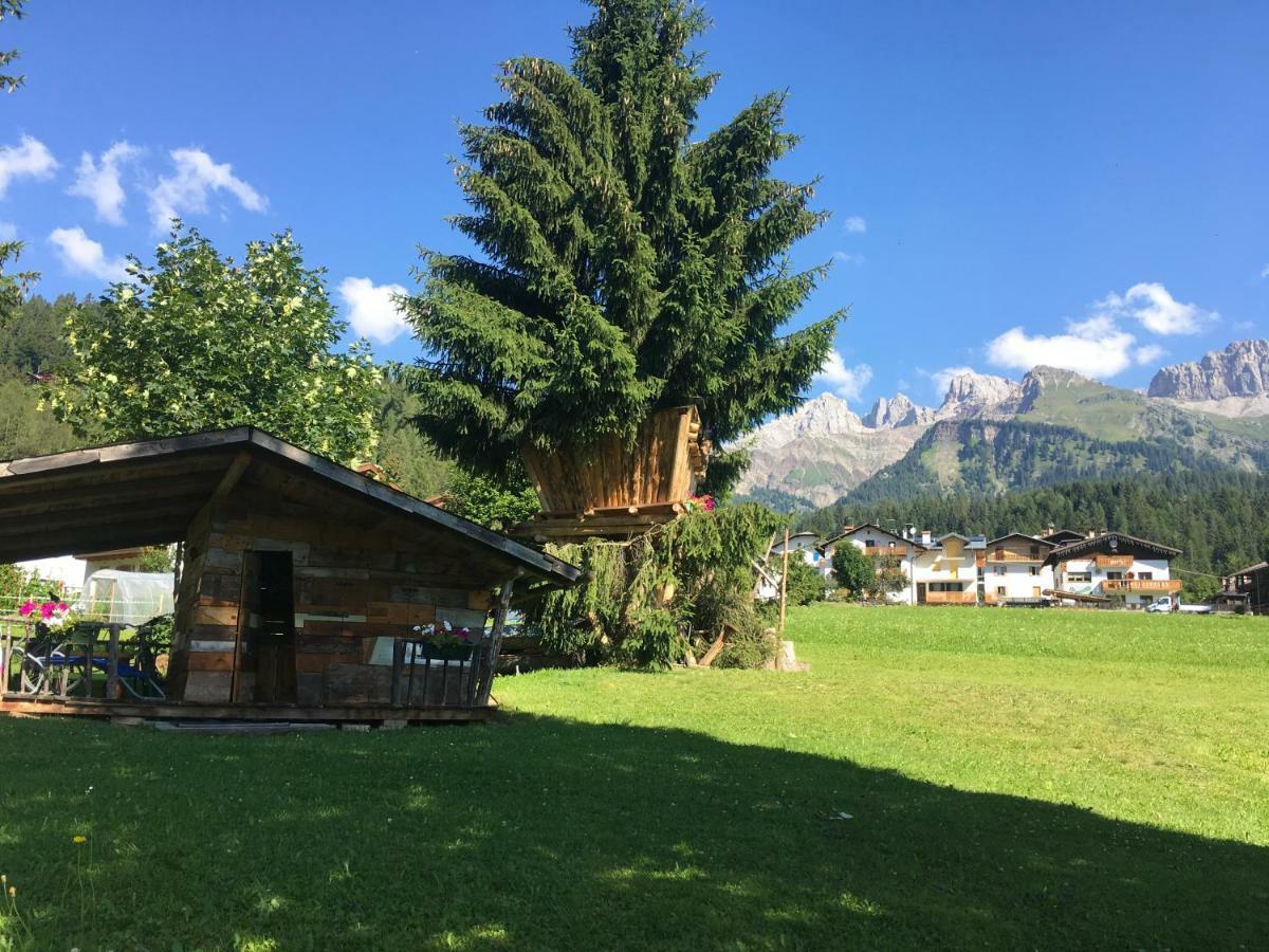 Tana Del Picchio Daire Falcade Dış mekan fotoğraf